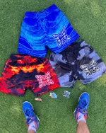 Sb Studios Element Shorts V2 (1)